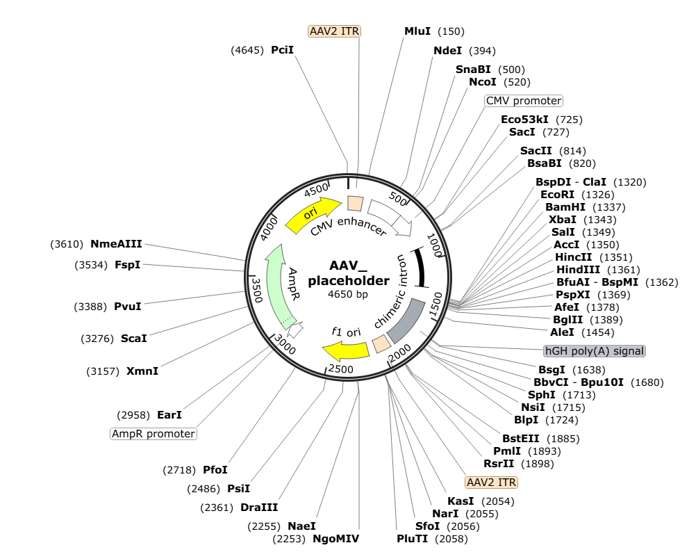 Vector map for AAV_tetbip_YC3.6-icre